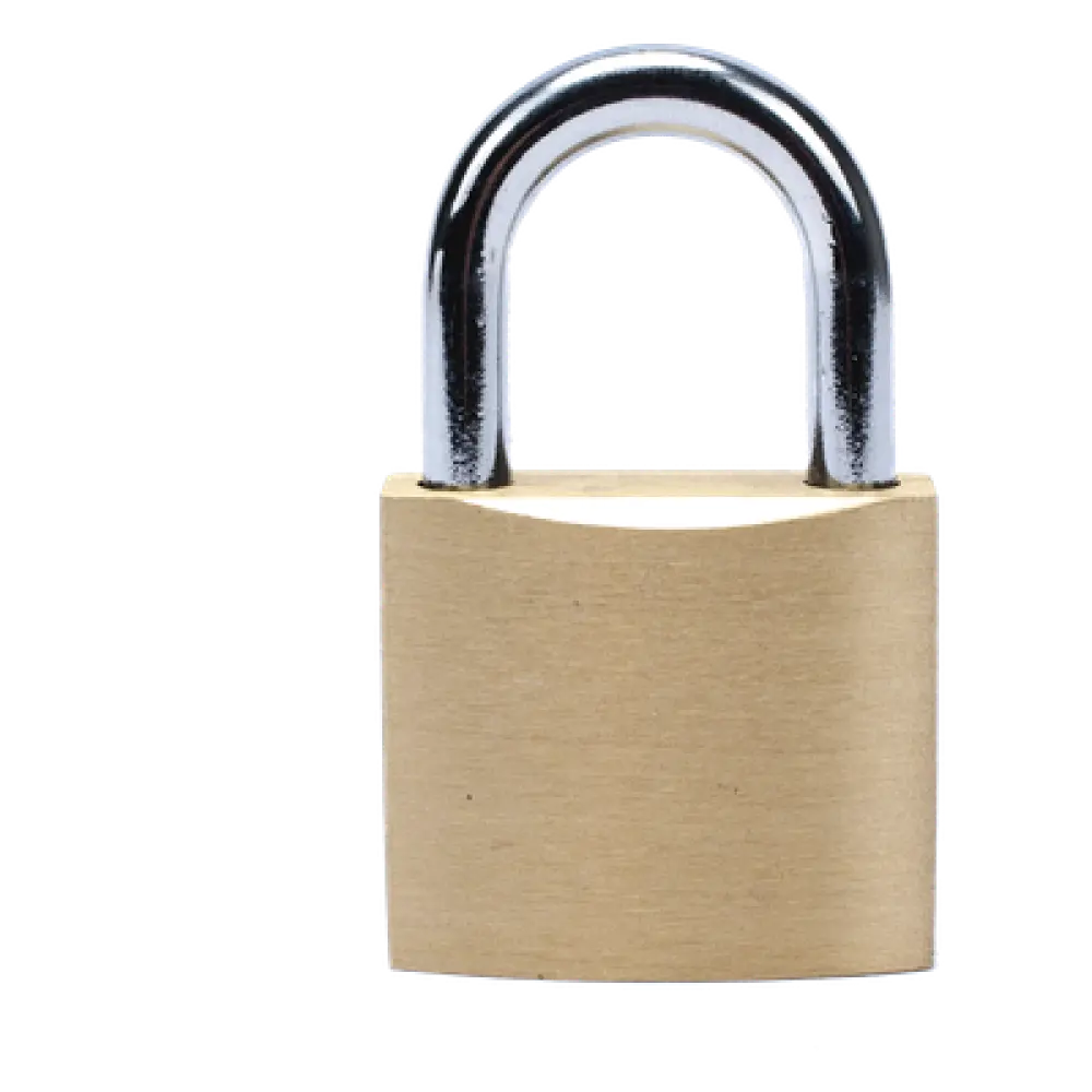 Candado de Seguridad / Cuerpo Latón 40 x 40 mm / Perno Doble Sujeción / Argolla 6.2 mm / 3 Llaves / 560 gr