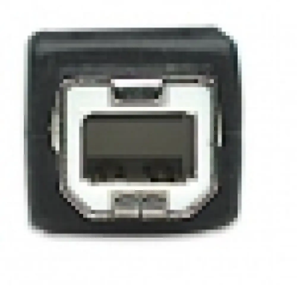333382 Cable para Impresora USB 2.0 de USB A macho/ USB-B macho, 3 m Color Negro.