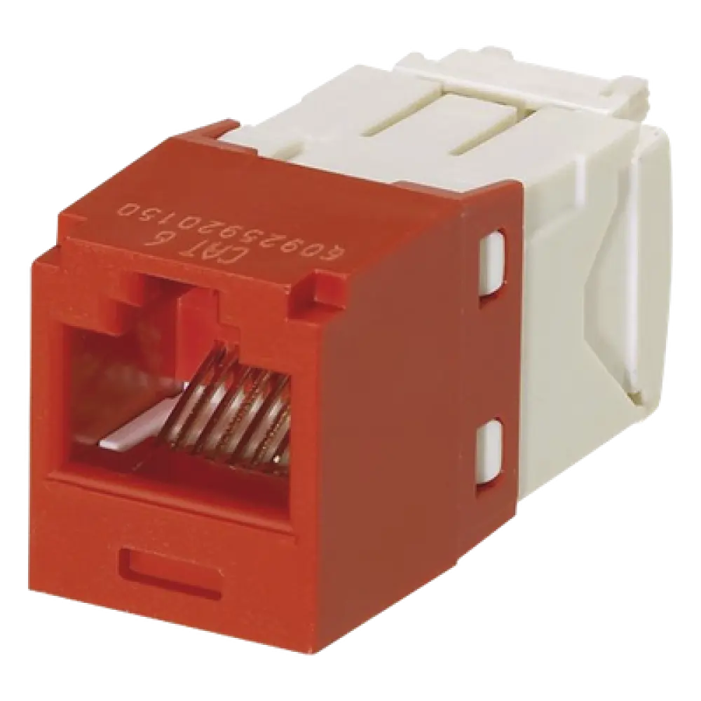 Jack RJ45 / Cat 6 / Sin herramienta de impacto / 8P8C / 22-26 AWG / Color rojo
