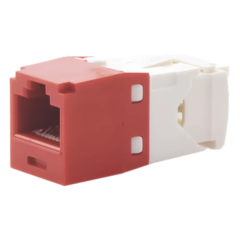 Jack RJ45 / Cat 6 / Sin herramienta de impacto / 8P8C / 22-26 AWG / Color rojo