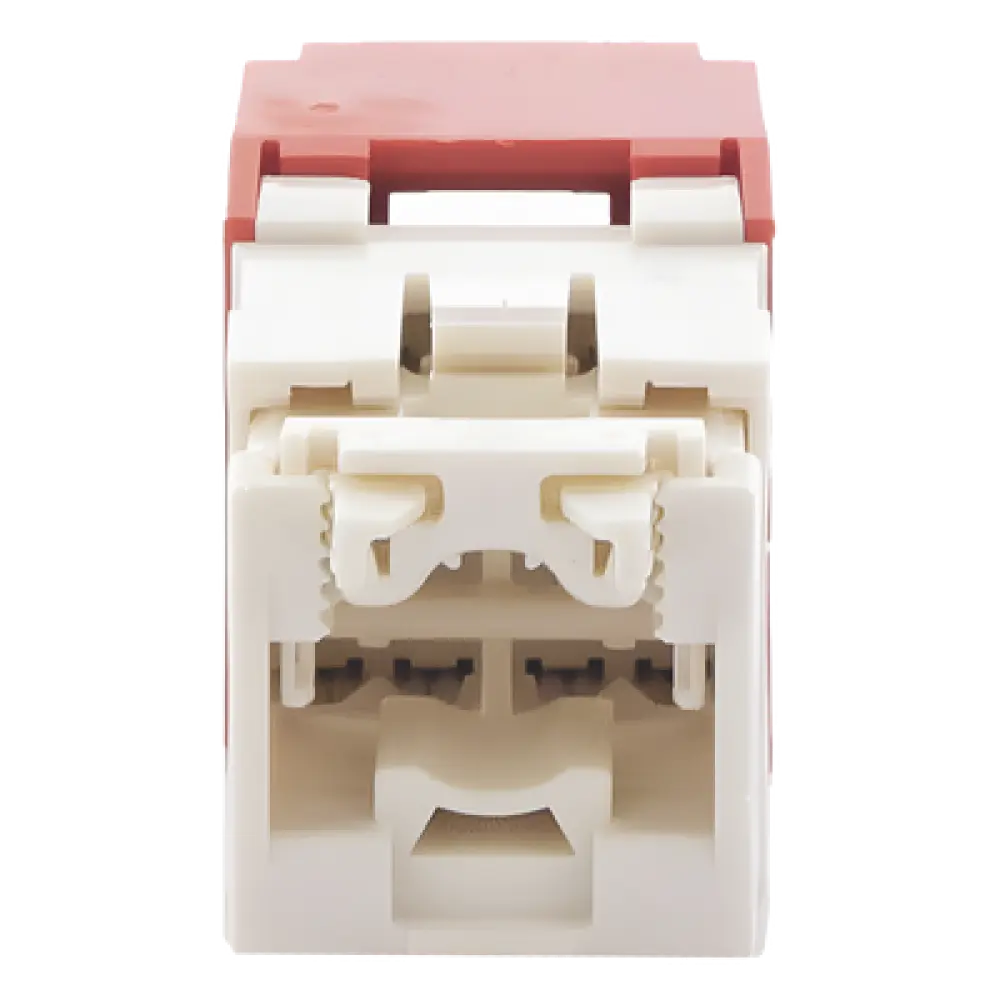 Jack RJ45 / Cat 6 / Sin herramienta de impacto / 8P8C / 22-26 AWG / Color rojo