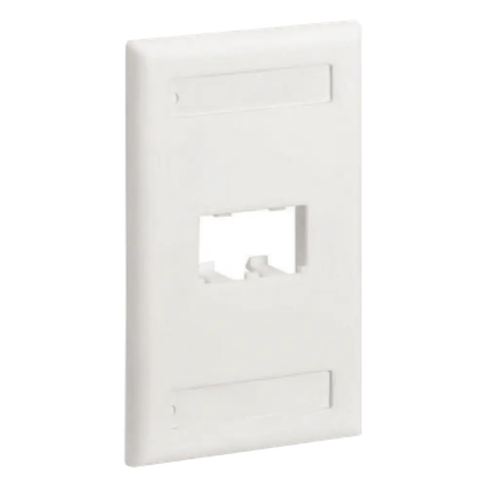 Placa de Pared Vertical / 2 Puertos Mini-Com / Diseño Inclinado / Con Espacios para Etiquetas / 2.75 x 4.5 pulgadas / Blanco