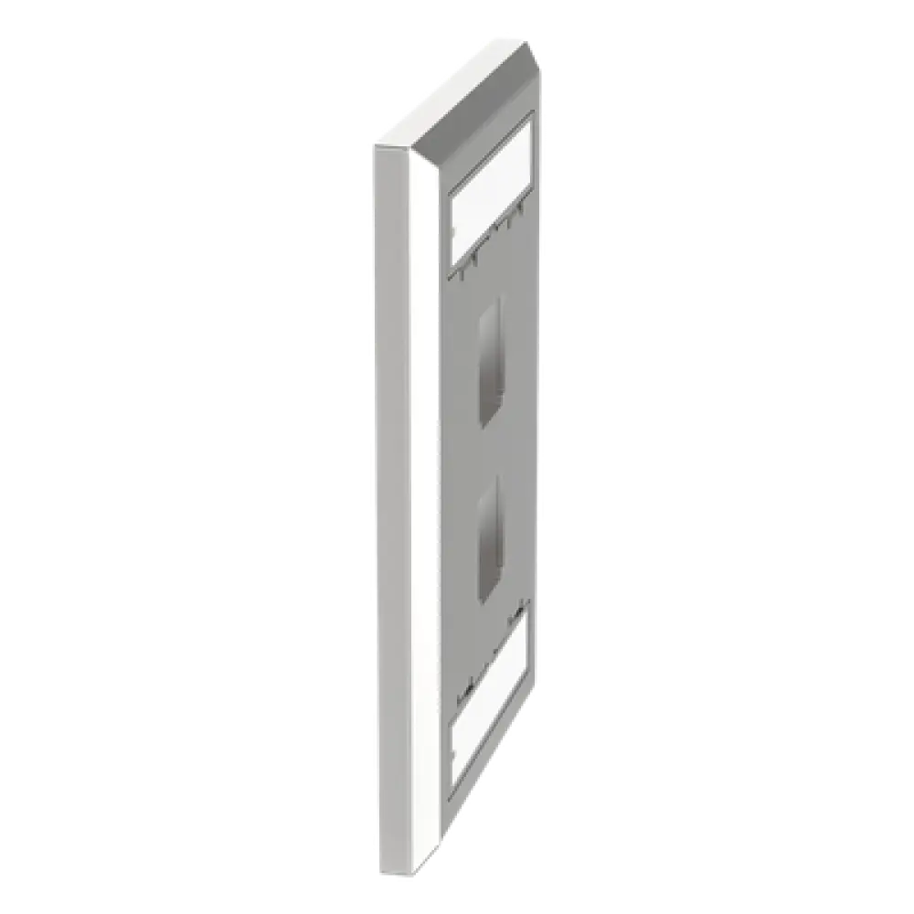 Placa de Pared Vertical / 2 Puertos Keystone / Acero Inoxidable / Estilo Plano / Con Etiquetas