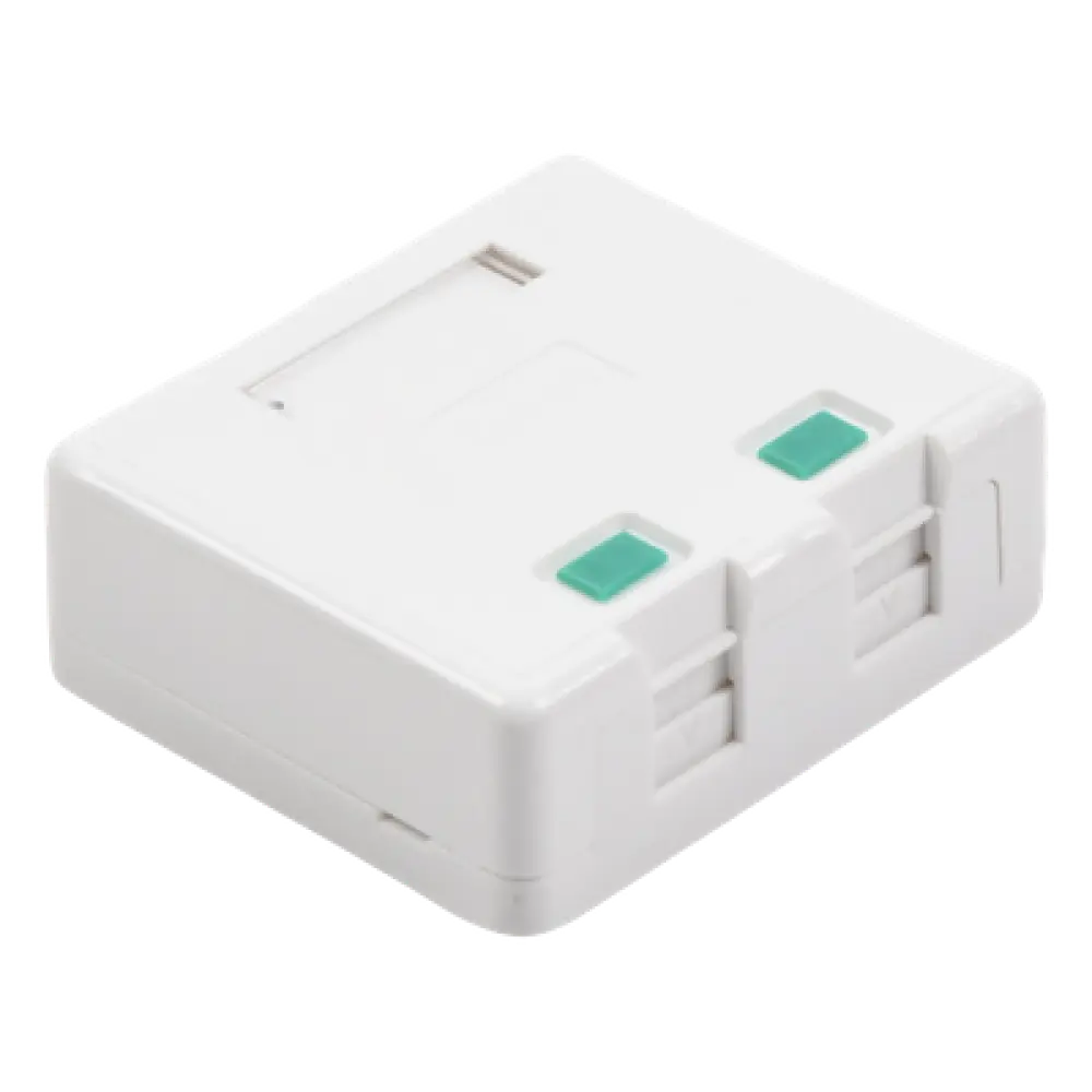 Caja de Pared / 2 Puertos Keystone / UL 94V-0 / Montaje Superficial Vertical / Incluye Kit de Herramientas