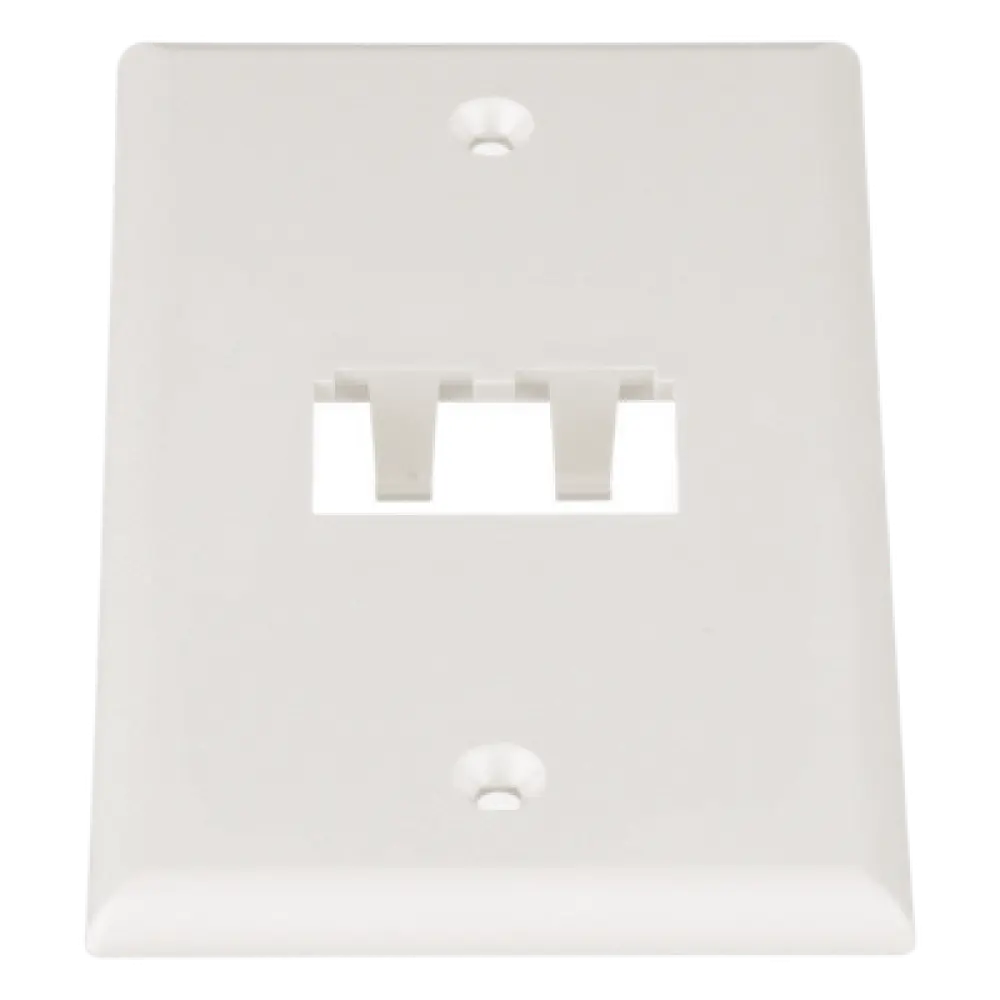 Placa de Pared Vertical / 2 Puertos Mini-Com / 69.8 x 114.3 mm / 2.75 x 4.5 pulg. / Blanco Mate / ABS