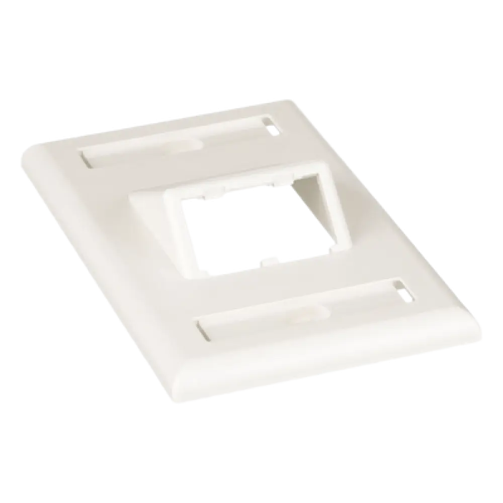 Placa de Pared Vertical / 2 Puertos Mini-Com Inclinados / ABS / Blanco Mate / Con Etiquetas