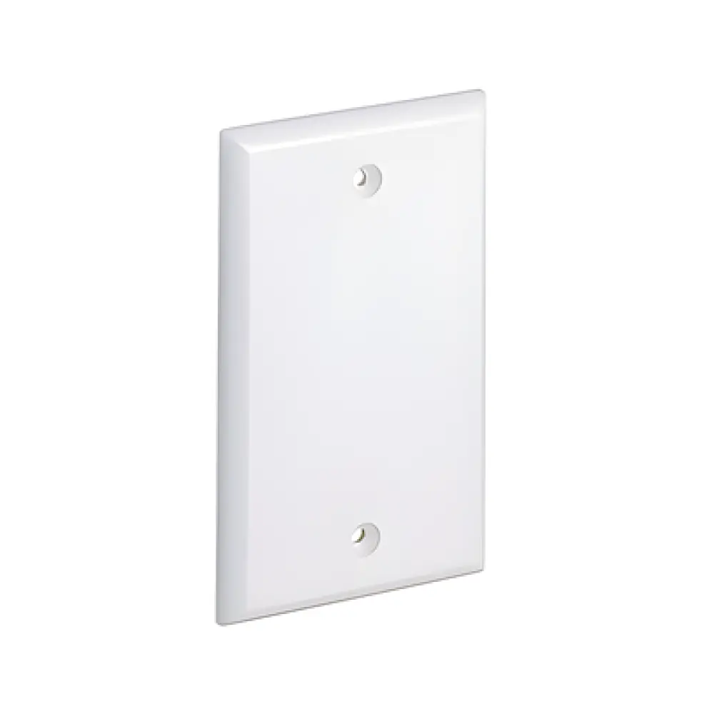 Placa de Pared Ciega / ABS / 69.8 x 114.4 mm / 2.75 x 4.5 in / Blanco Mate / Montaje Vertical
