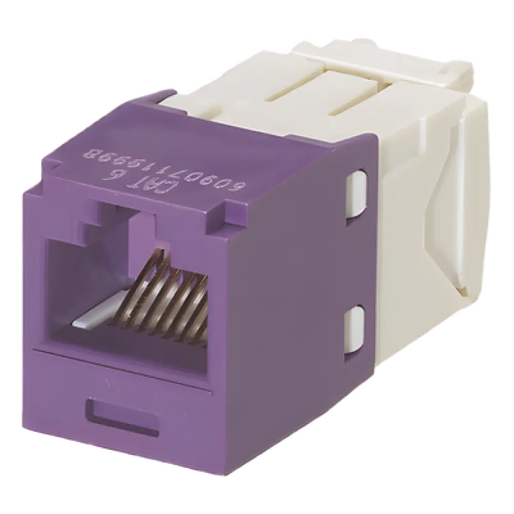 Conector Jack RJ45 / Categoría 6 / 8P8C / Sin herramienta de impacto / Violeta / -10°C a 65°C