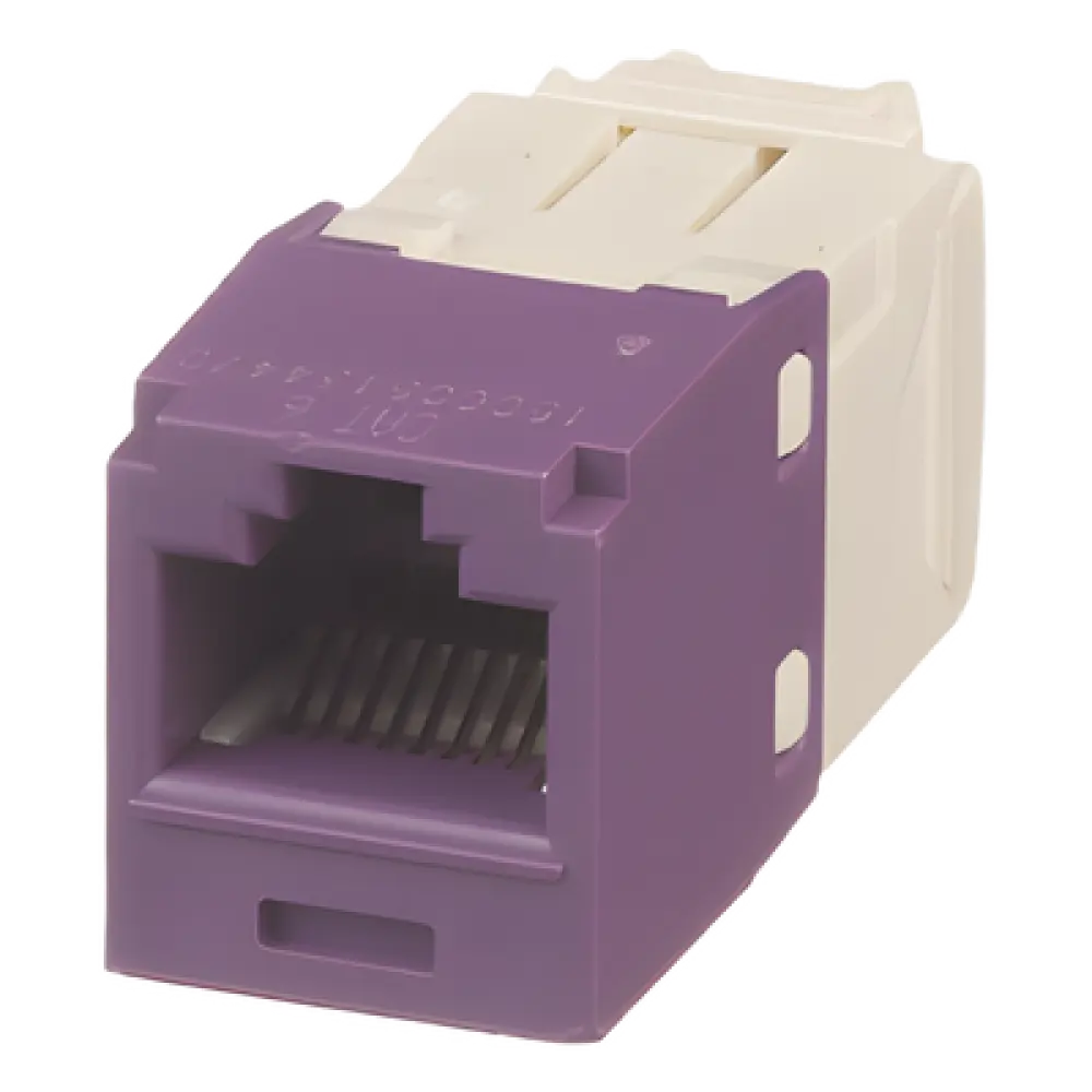 Conector Jack RJ45 / Categoría 6 / 8P8C / Sin herramienta de impacto / Violeta / -10°C a 65°C
