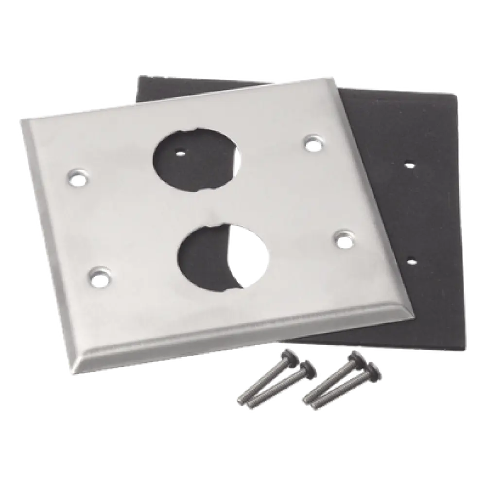 Placa de Pared Doble Industrial / 2 Puertos / Acero Inoxidable / 4.59x4.5x0.16 in / Montaje Vertical