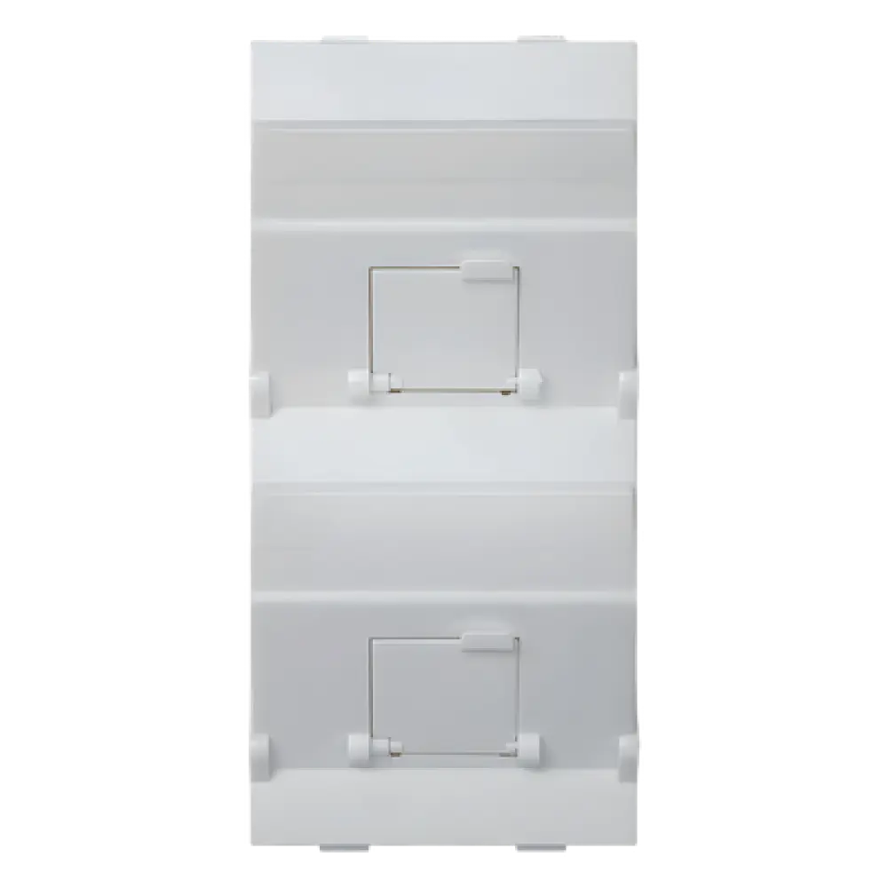 Placa Voz y Datos Inclinada / 2 Puertos RJ45 Keystone / Guardapolvos Integrados / 108×52 mm / Termoplástico