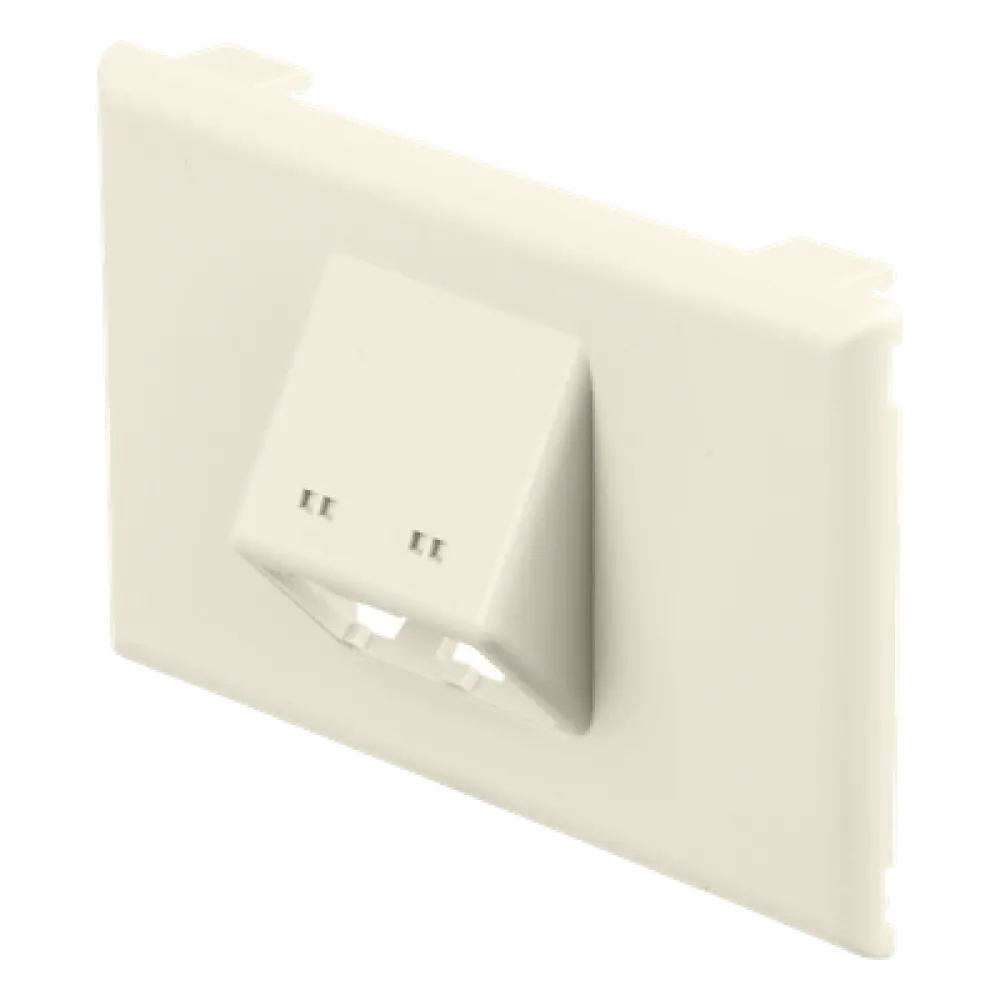 Placa de Pared Horizontal / 2 Puertos Mini-Com / 69.8 x 114.3 mm / PVC / Blanco Mate / ROHS