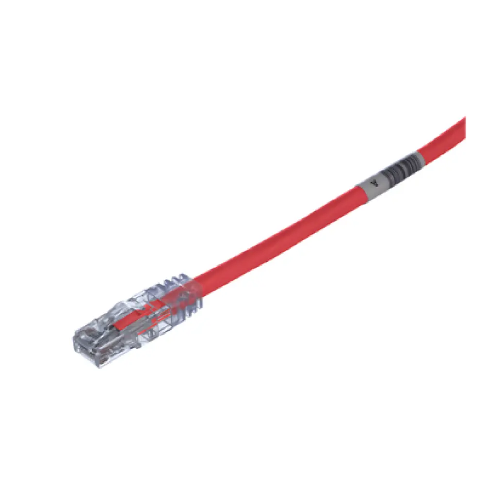 Cable de Parcheo UTP / Categoría 6 / 24 AWG / CM/LSZH / 1 ft (0.3 m) / T568A/B / 50 µin Oro