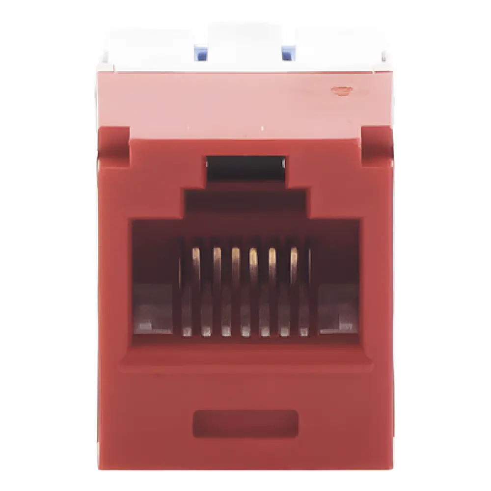 Conector Jack RJ45 / Categoría 6A / 8P8C / Terminación TG / Sin herramienta de impacto / Color Rojo
