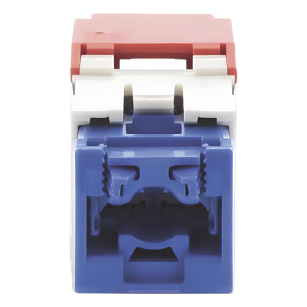 Conector Jack RJ45 / Categoría 6A / 8P8C / Terminación TG / Sin herramienta de impacto / Color Rojo