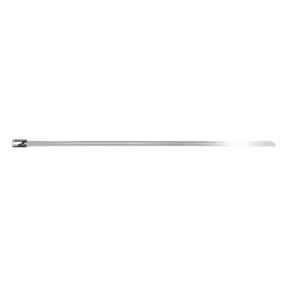 Cincho de Acero Inoxidable / 4.6 x 0.25 x 201 mm / Carga 45 kg / 304SS/316SS / Exterior / 100 Piezas