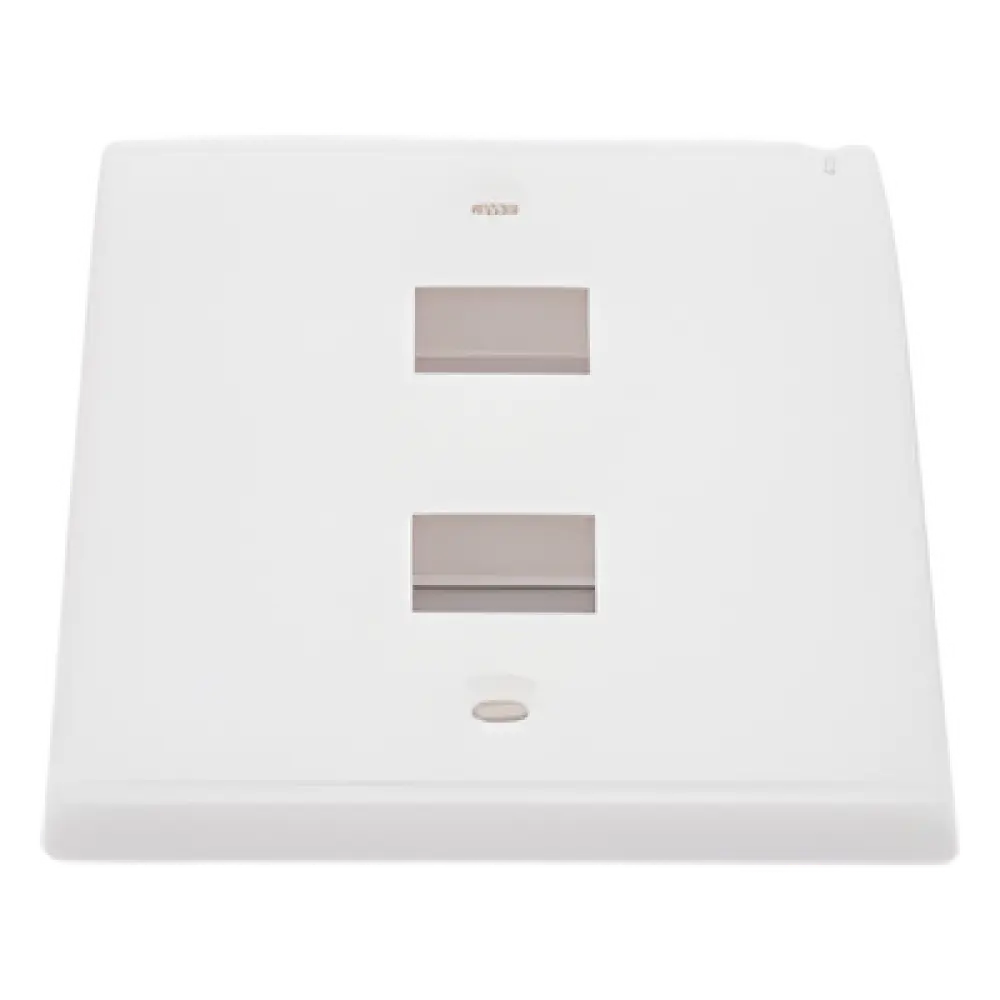 Placa de Pared / 2 Puertos Keystone / Montaje Vertical / UL 94V-0 / 70 x 115 mm (2.75 x 4.52 in)