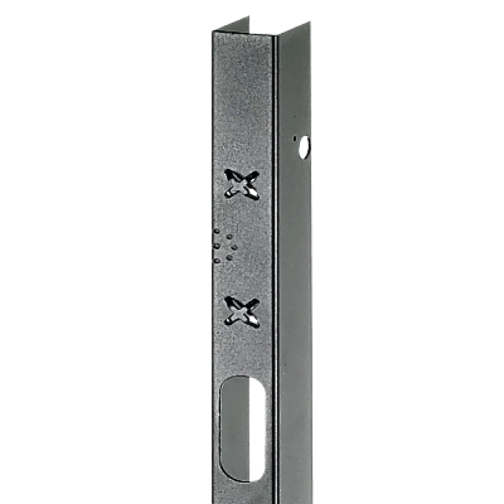 Gabinete Rack / 42 UR / 2000 x 800 x 1100 mm (78.7 x 31.5 x 43.3 ft) / Capacidad 1134 kg (2500 lb) / NEMA 12 / Con Organizadores de Cables
