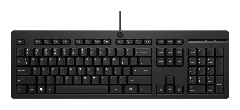 Teclado HP 125 (AY2Y7AA#ABM). Conectividad Plug and Play - Color Negro.
